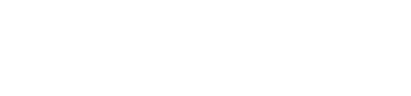 Apex Solutions Group